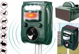 Mit tehetünk a rágcsálók ellen?